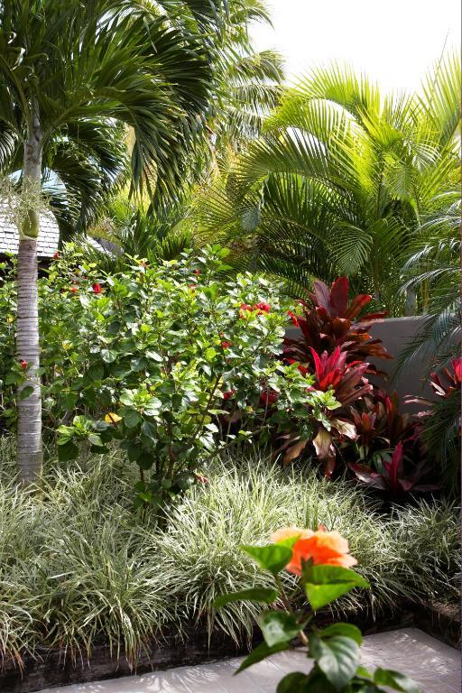 Te Vakaroa Villas Rarotonga Eksteriør bilde